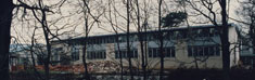 Descriptive Image Name